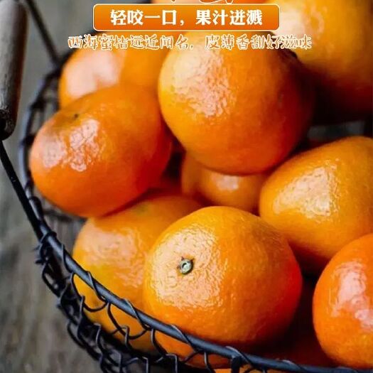 永修县宫川蜜桔 庐山西海易家河蜜橘，宫川蜜橘，无核，薄皮蜜橘