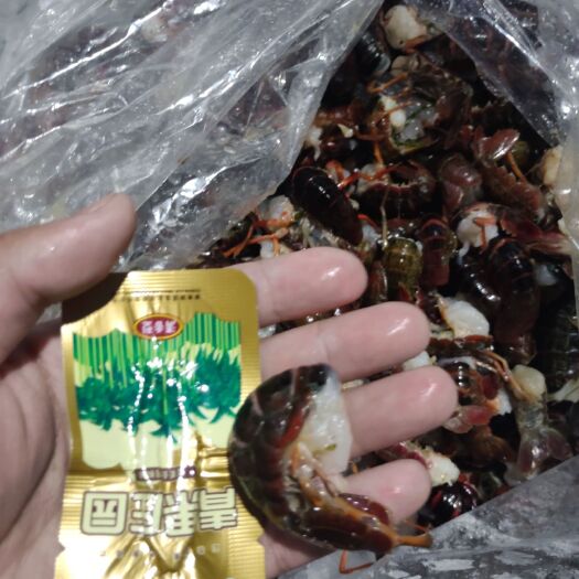 武汉【龙虾尾】油焖烧烤饭店直供 纯一手货源 一年到头货源稳定