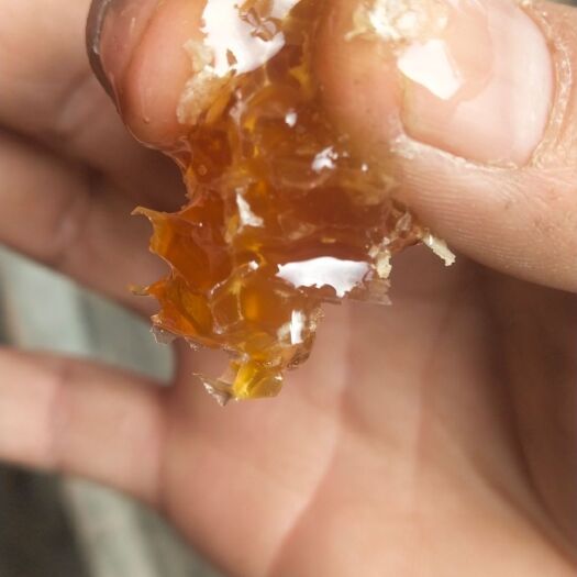 洋县土蜂 蜜秦岭蜂蜜农家蜜未添加蜂蜜500g(农户直接你的手里)