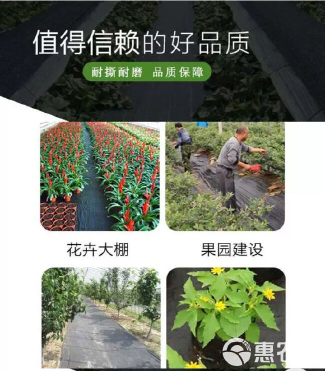 防草布果树农用黑色园艺地膜pe盖草布果园防草遮草耐用除草布