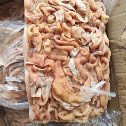 济南鹅肠批发 九尺鹅肠  整根鹅肠批发