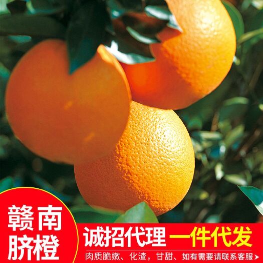 信丰县橙子赣南脐橙一件代发电商社区团购超市