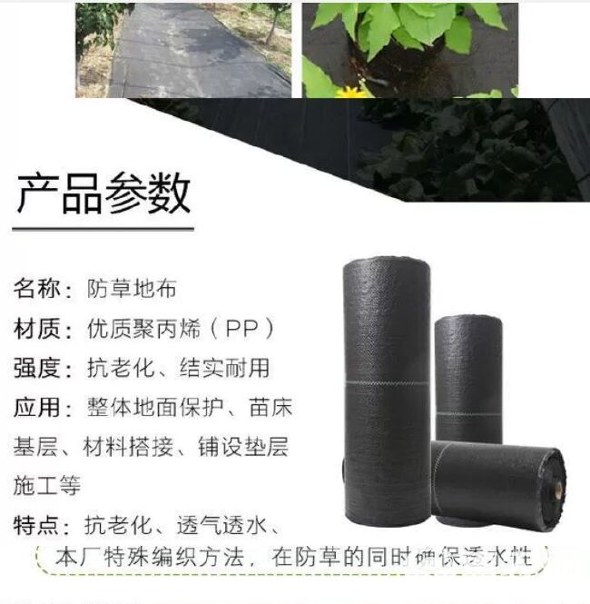 防草布果树农用黑色园艺地膜pe盖草布果园防草遮草耐用除草布