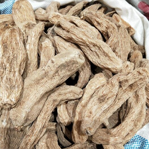 亳州 天麻大全