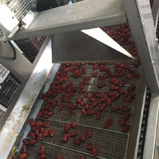 洛浦县 和田灰枣，分级处理，需要的联系