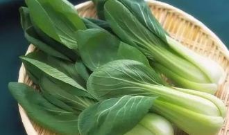 南通 精品油菜