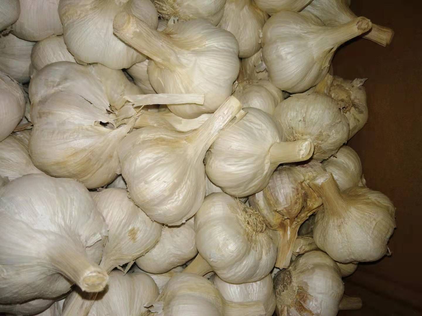 精品大蒜(清香型)