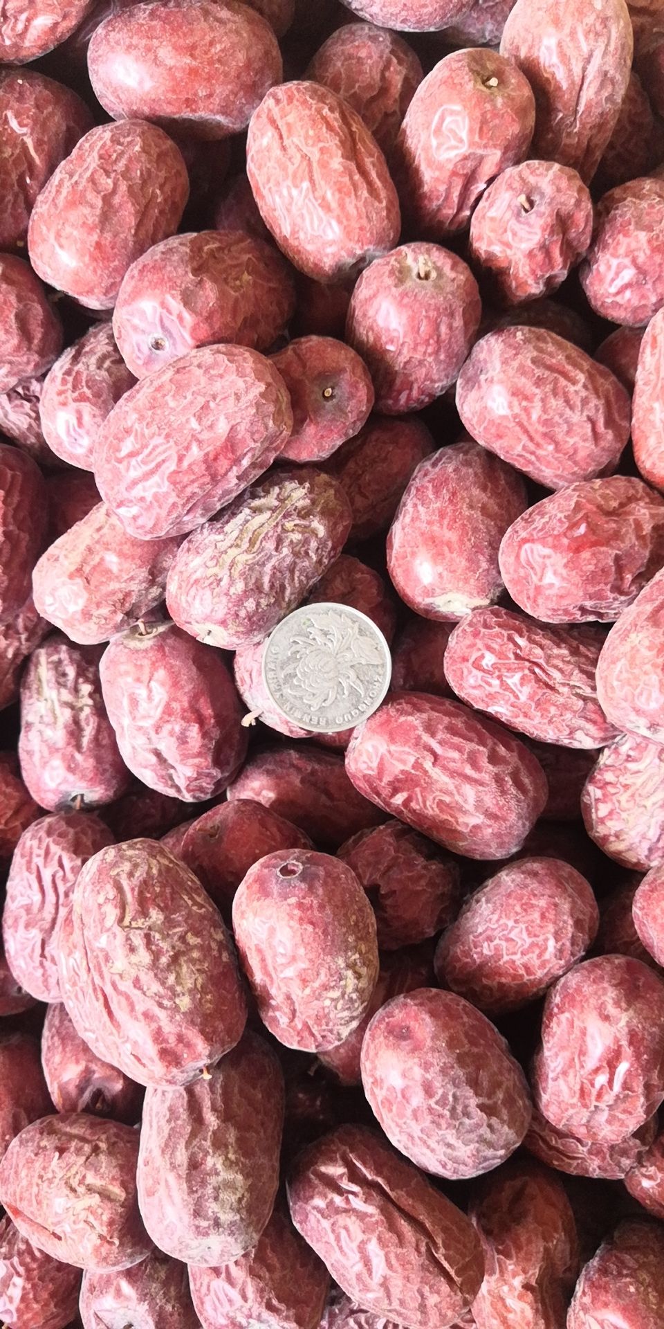 灰枣 【五斤包邮】若羌新枣带土原枣，支持一件代发