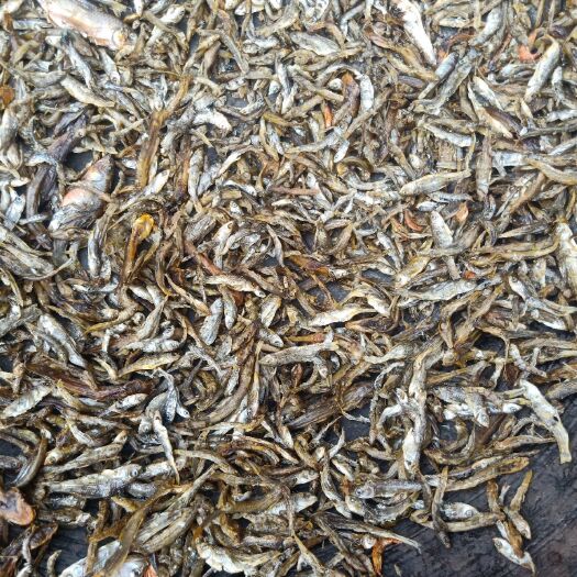 常宁市小鱼干 干鱼干笋都是的