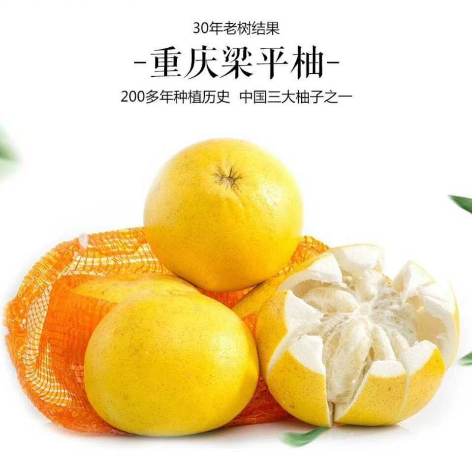 梁平柚 梁山柚 平顶柚 麻柚