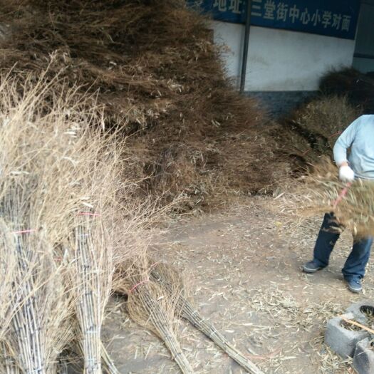 桃江县精153品扫把9970欢迎选购批发1615