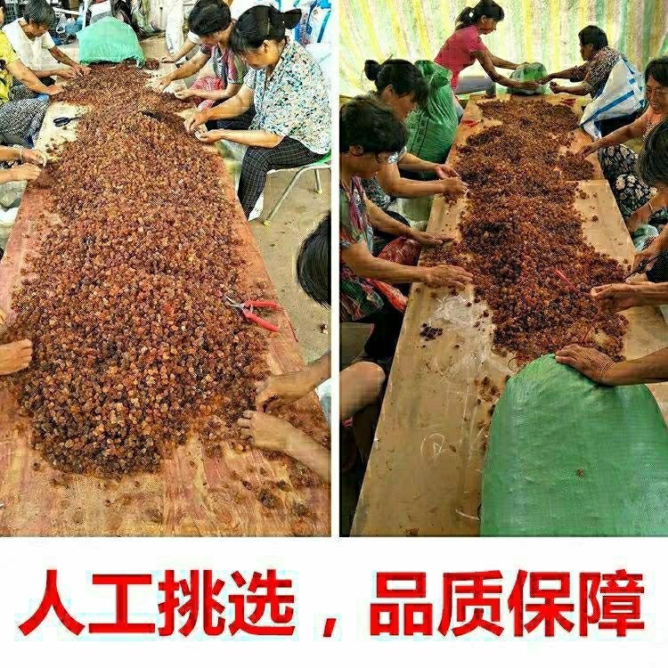 桃胶天然农家食用500克一斤云南桃花泪包邮