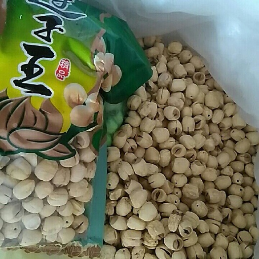 宜黄县通芯莲 通芯白莲