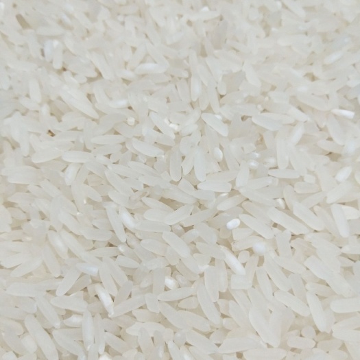湘潭县 优质大米绿色食品美香占大米没打农药非五常大米