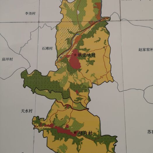 天水山地 2020年马铃薯种植开始接受订单