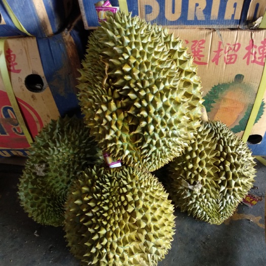 凭祥市金枕榴莲，保质保量，只批发不零售