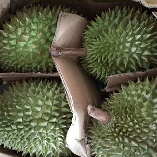 凭祥市干尧榴莲  干荛榴莲，保质保量，只批发不零售。