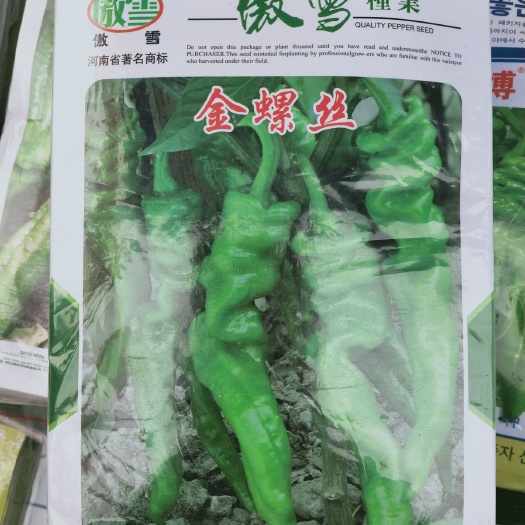 商丘螺丝椒种子 高产螺丝椒–金螺丝