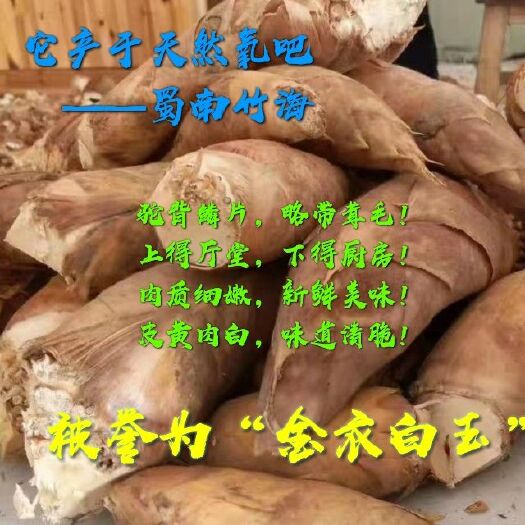 长宁县 蜀南竹海冬笋已大量上市，货源充足