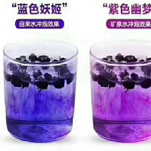 乌鲁木齐 黑枸杞  野生大果黑枸杞