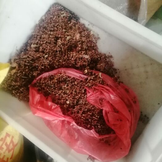 泰安 老花椒树，小川椒，有要的联系，加