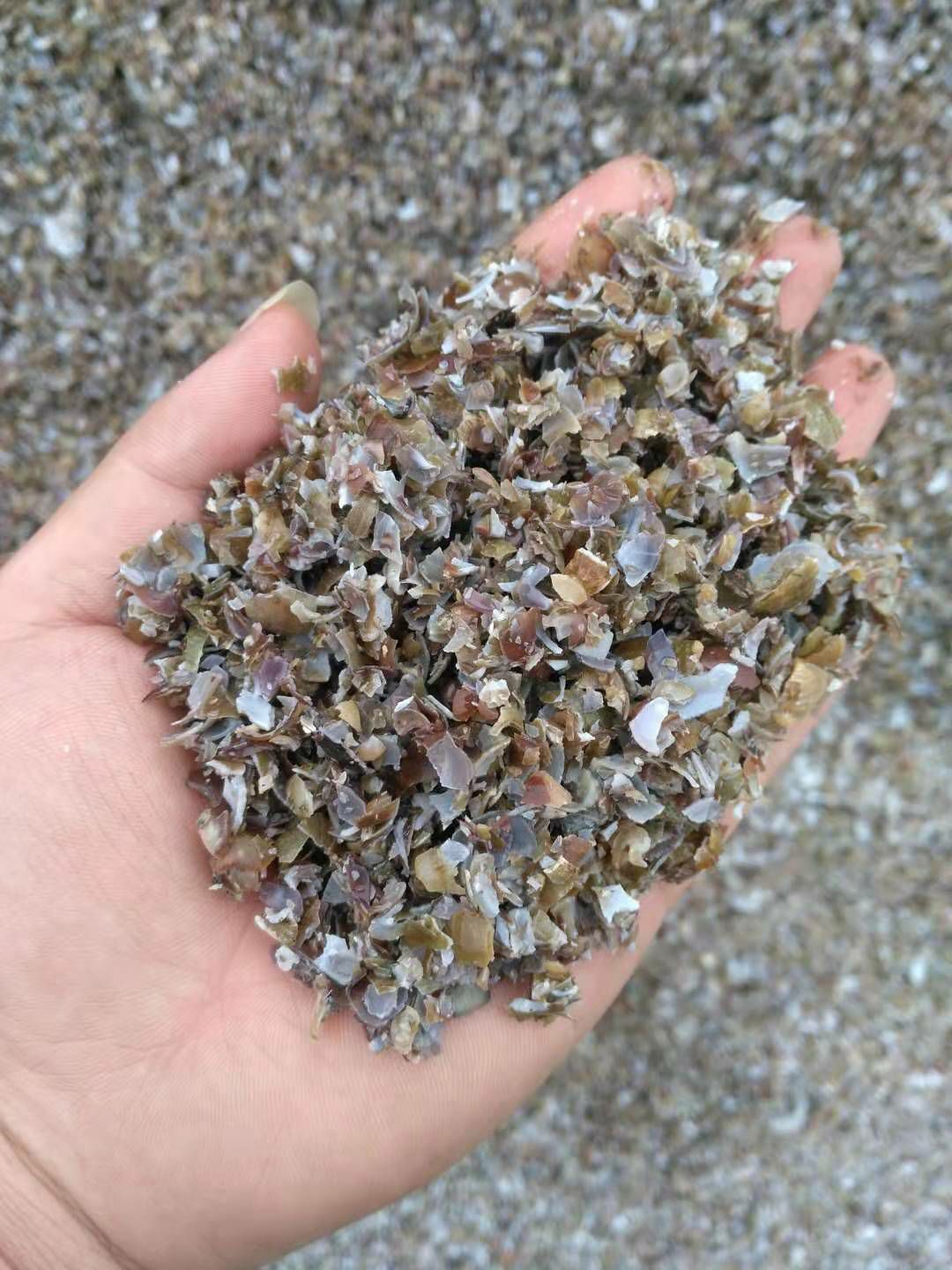 石首市螺蛳 钙粉
