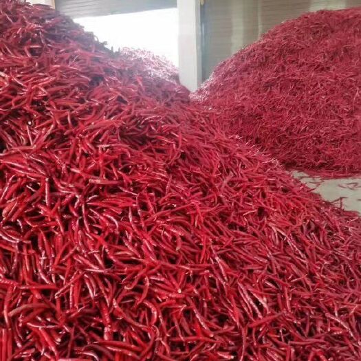 宣威市丘北干辣椒 丘北椒精品大量上市，基地发货，需要的老板欲购从速。