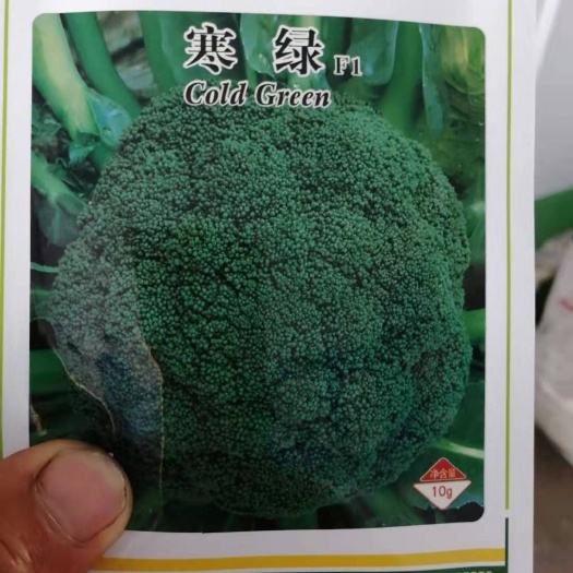 诸城市 西兰花种子（耐寒抗冻先锋）