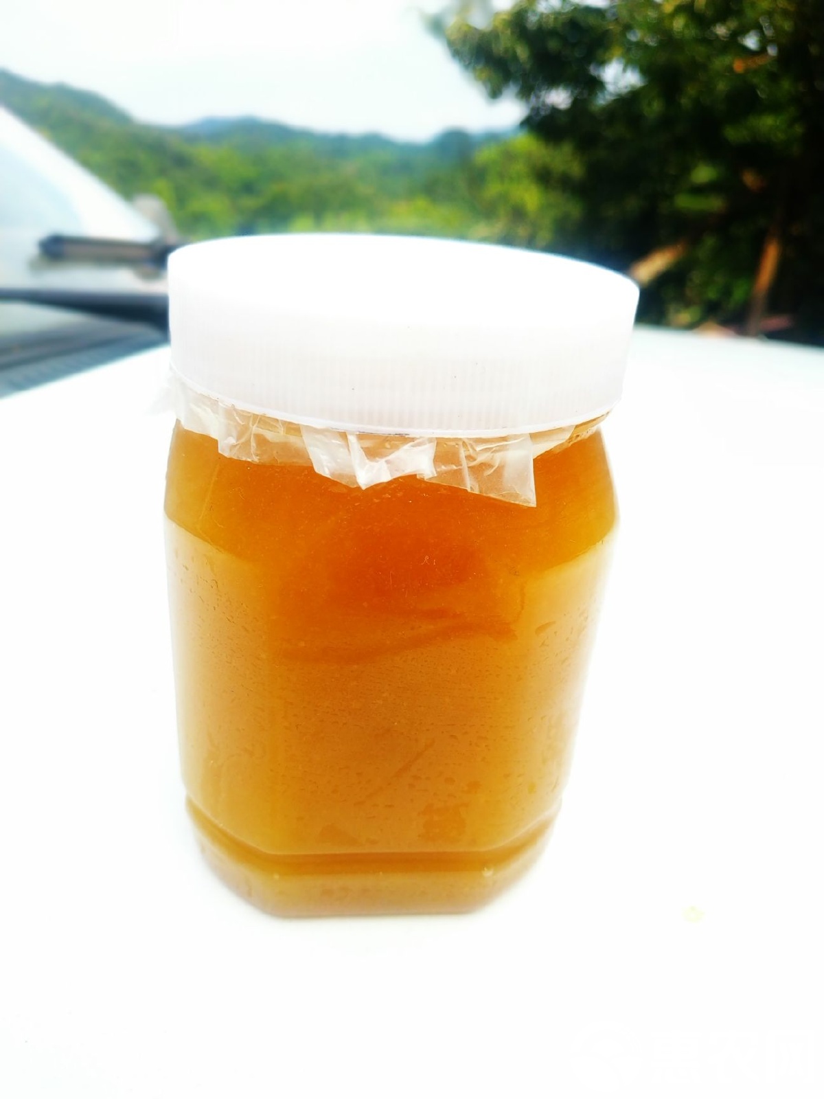 梦见很多野生蜂蜜什么预兆(梦见很多野生蜂蜜什么预兆呢) 梦见很多野生蜂蜜什么预兆(梦见很多野生蜂蜜什么预兆呢)