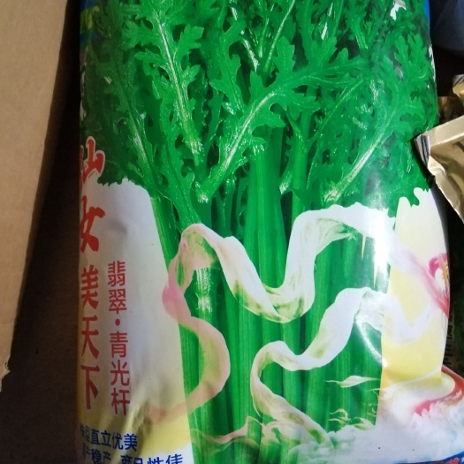 诸城市光杆茼蒿种子  常年大量现货供应光杆茼蒿菜种子