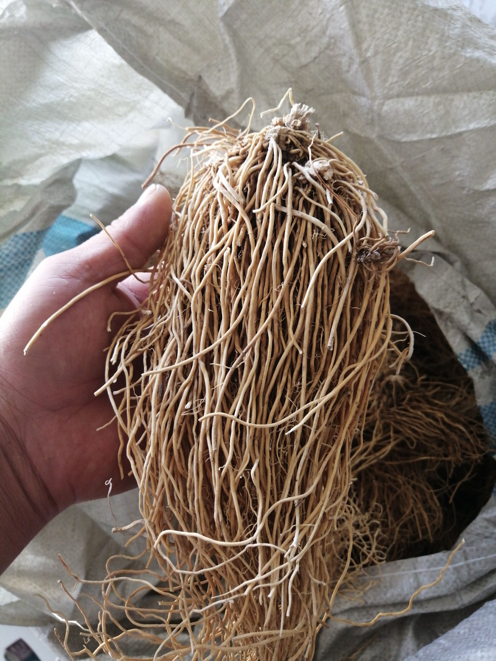 白薇  东北辽宁大叶直水洗干货，基地直发价格实惠