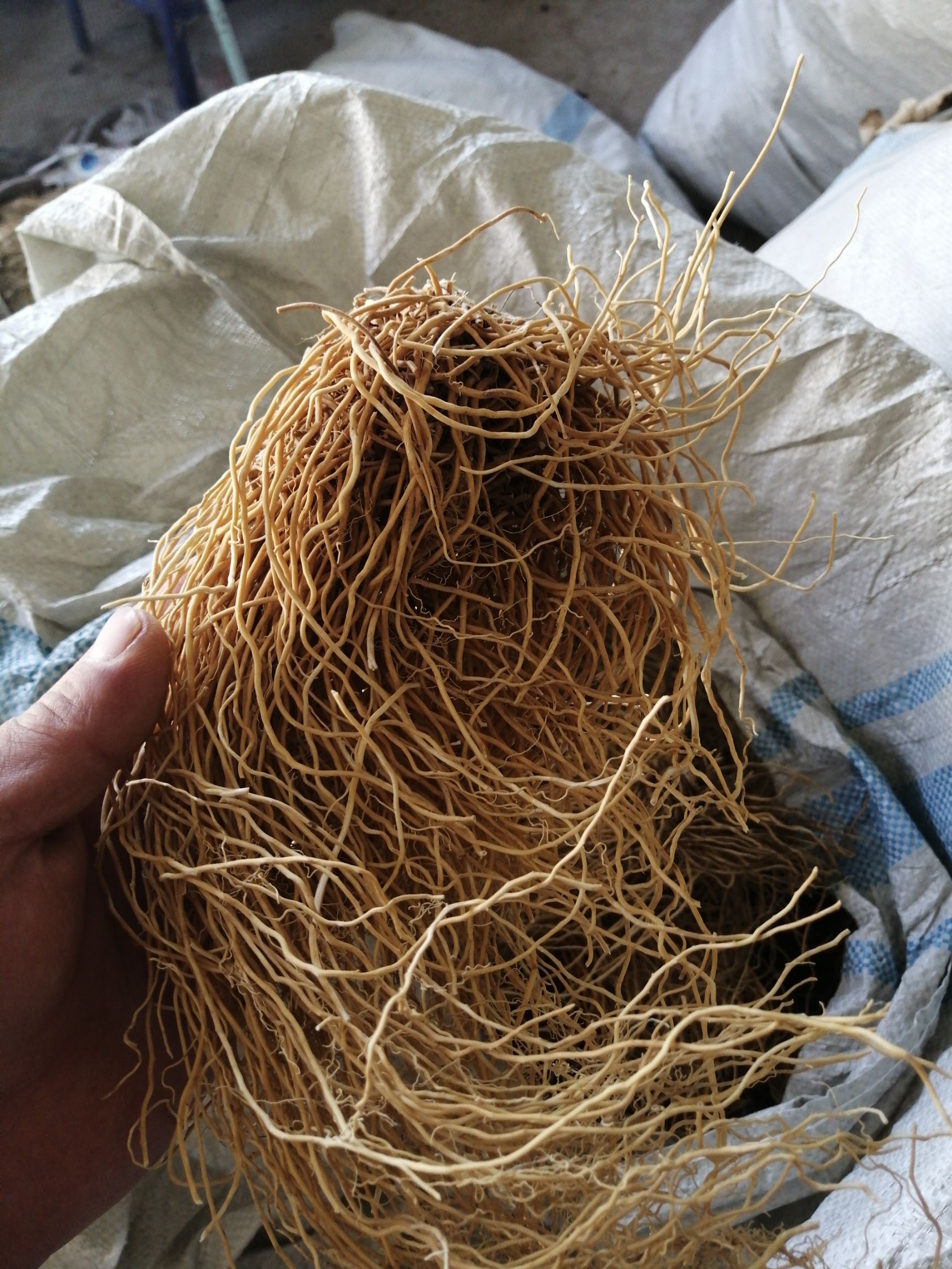 白薇  东北辽宁大叶直水洗干货，基地直发价格实惠