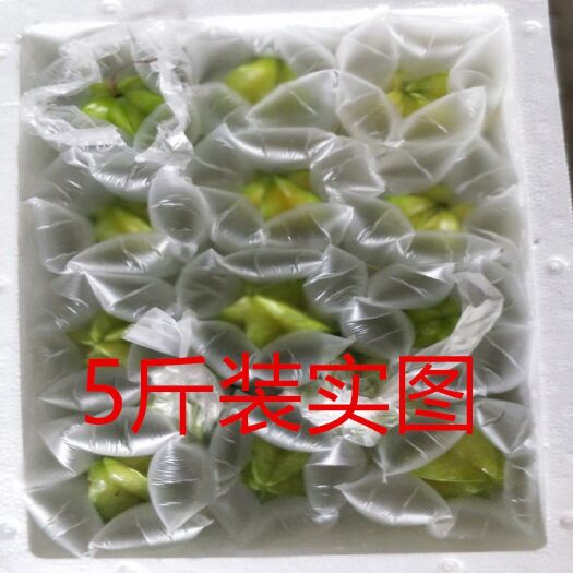 龙门县 大量供应香蜜杨桃，欢迎各大电商、微商、线下批发商洽谈合