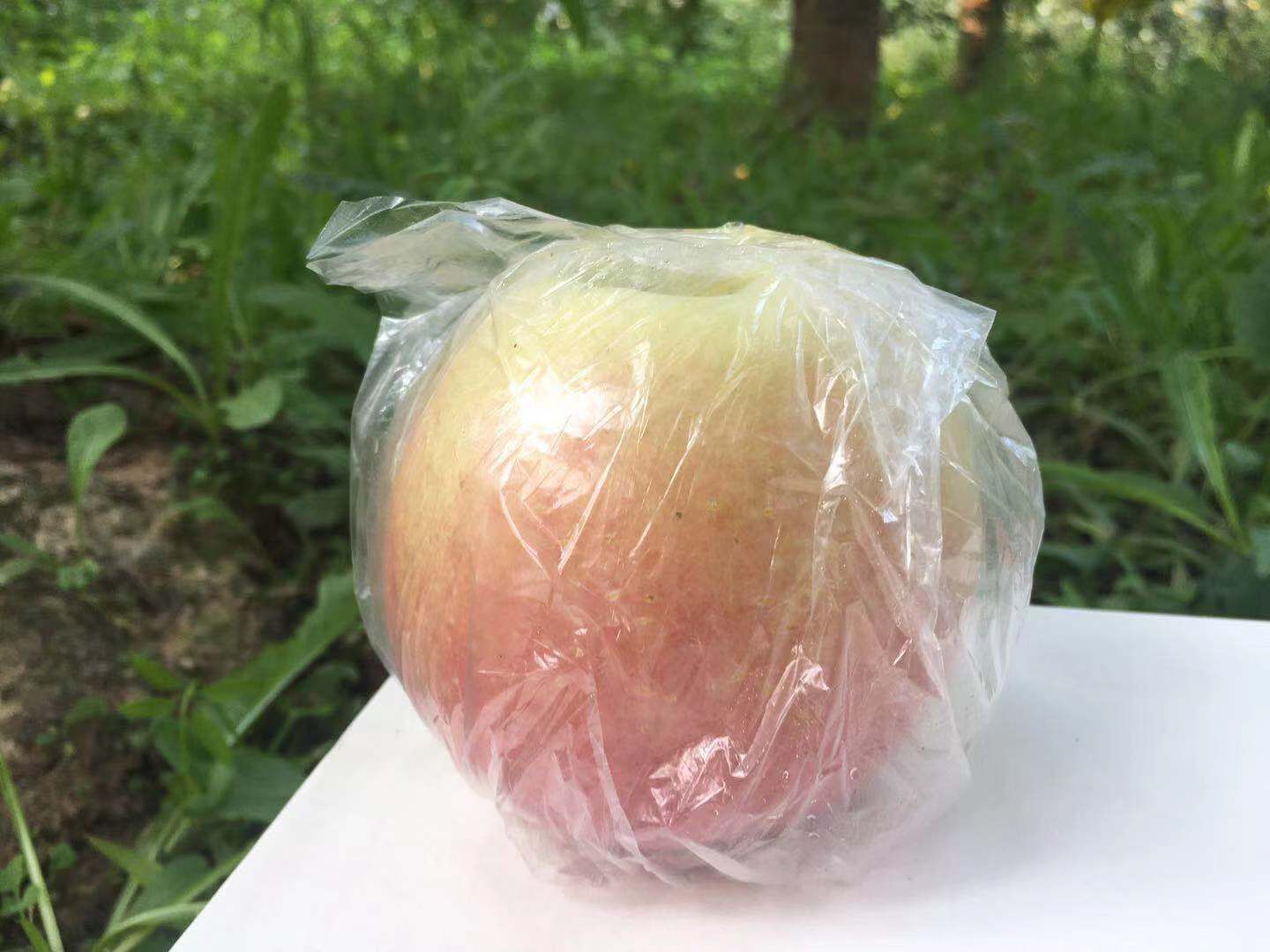 红富士苹果 山西临猗冰糖心膜袋红富士纸袋红富士