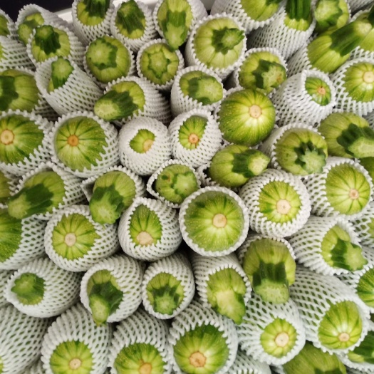 昆明绿皮西葫芦 0.5斤以下