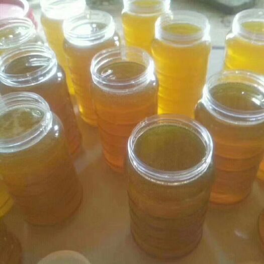 天水土蜂蜜 塑料瓶装 2年以上 