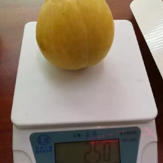 晴隆县黄金奈李苗 黄金柰李，目前最好的李子品种