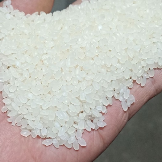 徐州 圆粒香米 圆粒大米粳稻米粳米 新米质量口感保证 欢迎合作