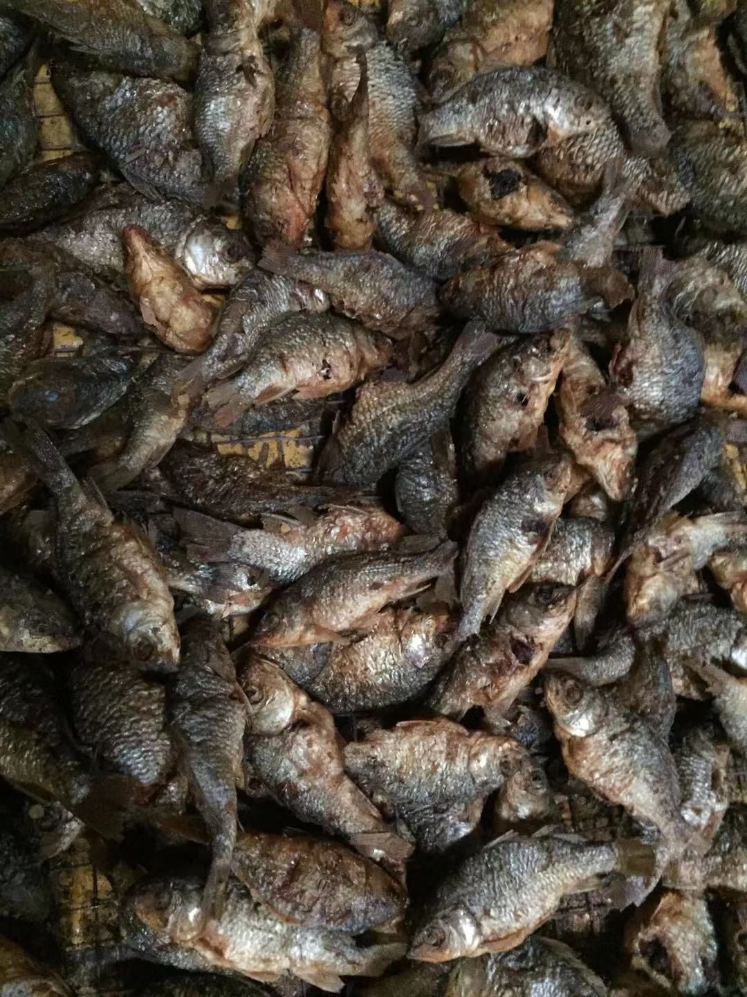 草鱼干 江西农家稻田烟熏小鲤鱼，烟熏王尾鱼，