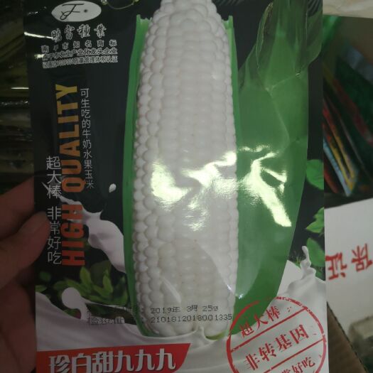 郑州 珍白甜999奶油水果玉米种子可鲜食超大棒非转基因 非常好吃