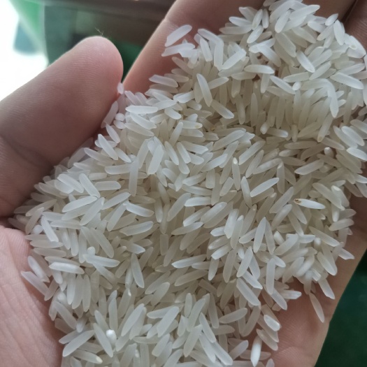 博罗县象牙香米  象牙粘，无抛光，农家米（1千斤起）