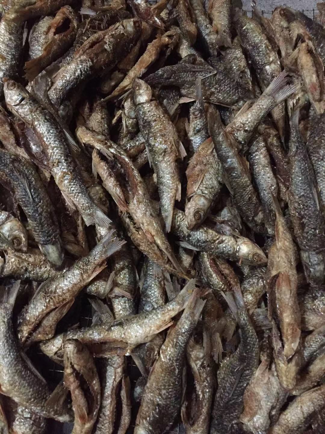 草鱼干 江西农家稻田烟熏小鲤鱼，烟熏王尾鱼，