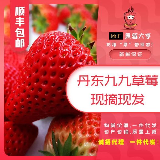 东港市 丹东九九红颜草莓