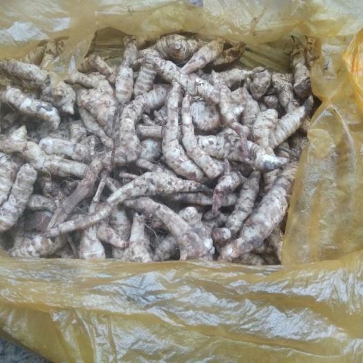 东安县地参无公害绿色食品，营养价值高。不包邮。