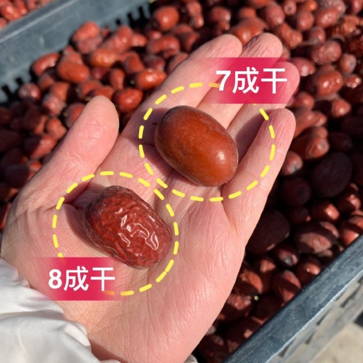 亳州新疆若羌灰枣 树上吊干 8成干 包邮 一件包邮