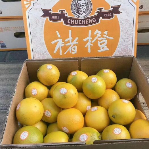 昆明褚橙整车零担发各地口感佳基地直供价格优惠