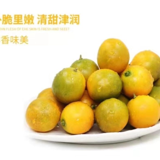 融安县 广西滑皮金桔