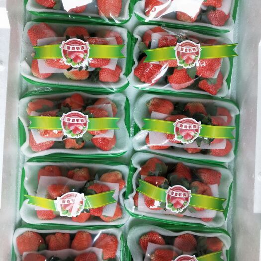  宁玉草莓