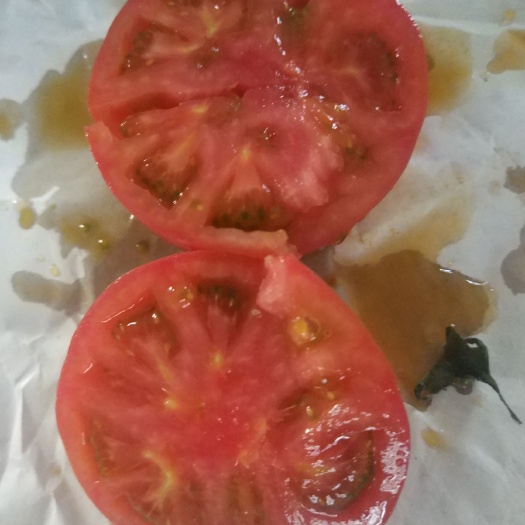 寿光市 草莓番茄口感礼品西红柿苗寿光苗场基地直销
