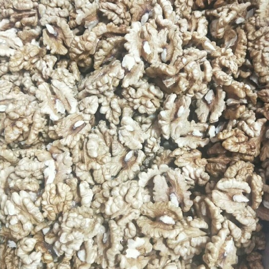 义乌市 云南野生核桃批发零售纸皮核桃新疆185纸皮核桃